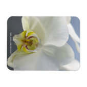 Magnet Flexible Fleur d'orchidée blanche (Horizontal)