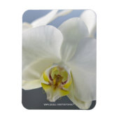 Magnet Flexible Fleur d'orchidée blanche (Vertical)