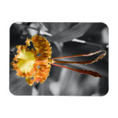 Magnet Flexible Fleur d'orchidée jaune (Horizontal)