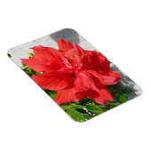 Magnet Flexible Fleur double hibiscus rouge (Côté Droit)