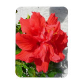Magnet Flexible Fleur double hibiscus rouge (Vertical)