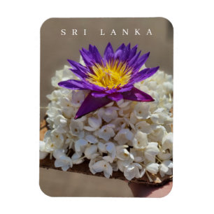 Magnet Flexible Fleur du temple Sri Lanka offrant un aimant frigo