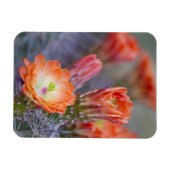 Magnet Flexible Fleur en Orange (Horizontal)