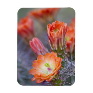 Magnet Flexible Fleur en Orange