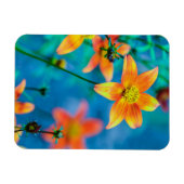Magnet Flexible Fleur étoile orange (Horizontal)
