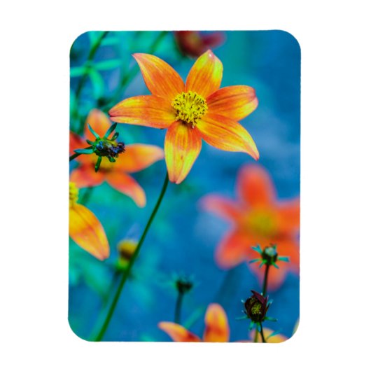 Magnet Flexible Fleur étoile orange (Vertical)