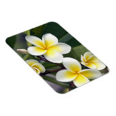 Magnet Flexible Fleur frangipanienne Îles Cook (Côté Droit)
