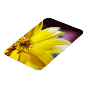 Magnet Flexible Fleur Jaune