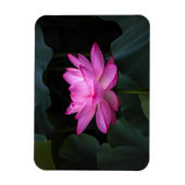 Magnet Flexible Fleur Lotus (Vertical)