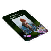 Magnet Flexible Fleur Lotus de la dragonfly Memorial Keepsaké (Côté Droit)