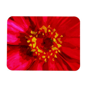 Magnet Flexible Fleur marguerite rouge avec Abstrait de pollen jau