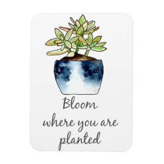 Magnet Flexible Fleur où vous êtes planté Aimant Succulent