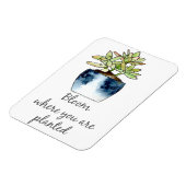 Magnet Flexible Fleur où vous êtes planté Aimant Succulent (Côté Gauche)