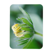 Magnet Flexible Fleur ouverte de l'Echinacea (Vertical)