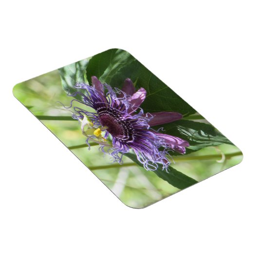 Magnet Flexible Fleur Passion (Côté Droit)