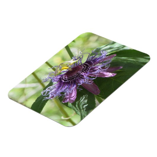 Magnet Flexible Fleur Passion (Côté Gauche)