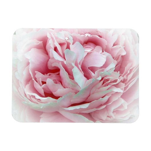 Magnet Flexible Fleur Pastel (Horizontal)