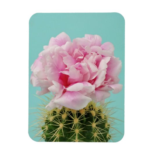 Magnet Flexible Fleur rose Au-Dessus de Spiky Cactus (Vertical)