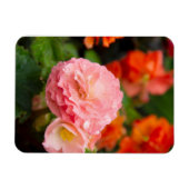 Magnet Flexible Fleur rose délicate après la pluie (Horizontal)