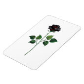 Magnet Flexible Fleur rose noire (Côté Gauche)
