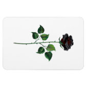 Magnet Flexible Fleur rose noire (Horizontal)