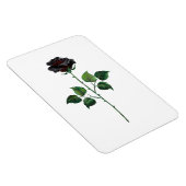 Magnet Flexible Fleur rose noire (Côté Droit)