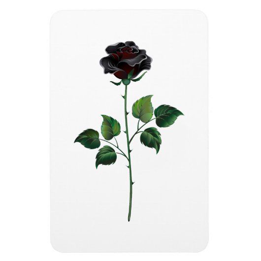 Magnet Flexible Fleur rose noire (Vertical)