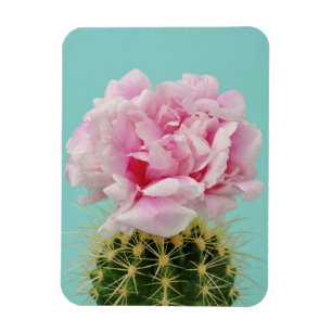 Magnet Flexible Fleur rose placé sur le cactus en épi