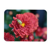Magnet Flexible Fleur rouge Nature Photographie du dendroctone ins (Horizontal)