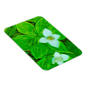 Magnet Flexible Fleur sauvage blanc Bunchberry Abstrait (Côté Droit)
