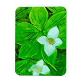 Magnet Flexible Fleur sauvage blanc Bunchberry Abstrait (Vertical)