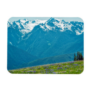 Magnet Flexible Fleur sauvage et Montagnes