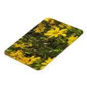 Magnet Flexible Fleur sauvage jaune marguerites Abstrait (Côté Gauche)