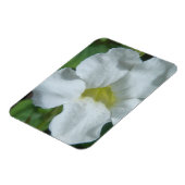Magnet Flexible Fleur tropicale blanche trouvée à Fidji (Côté Gauche)