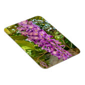 Magnet Flexible Fleur Wisteria (Côté Droit)