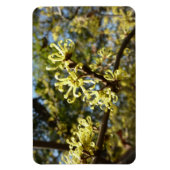 Magnet Flexible Fleurs à puces de sorcière (Vertical)