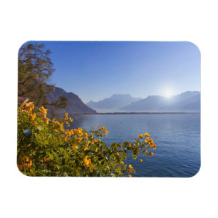 Magnet Flexible Fleurs au lac geneva, Montreux, Suisse