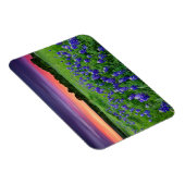 Magnet Flexible Fleurs | Bluebonnets à Sunset Texas (Côté Droit)