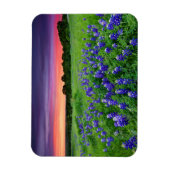 Magnet Flexible Fleurs | Bluebonnets à Sunset Texas (Vertical)