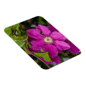 Magnet Flexible Fleurs chez Robinette's Apple Haus & Gift Barn (Côté Droit)
