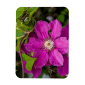 Magnet Flexible Fleurs chez Robinette's Apple Haus & Gift Barn (Vertical)