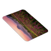 Magnet Flexible Fleurs | Chiang Dao, Chiang Mai, Thaïlande (Côté Droit)