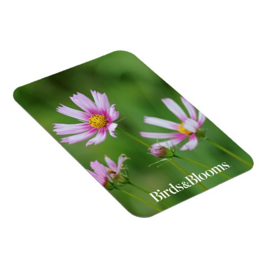 Magnet Flexible Fleurs Cosmos (Côté Droit)