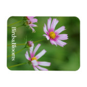Magnet Flexible Fleurs Cosmos (Horizontal)