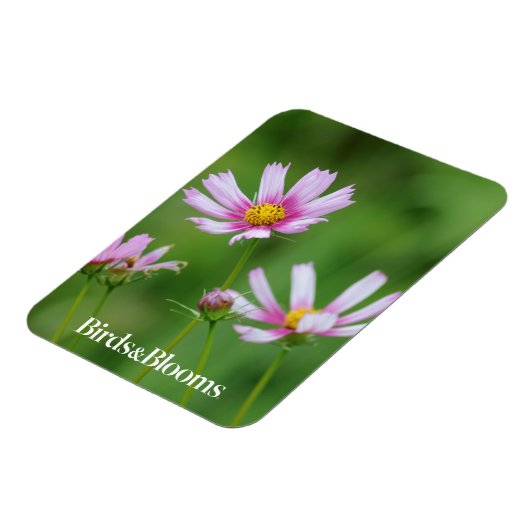 Magnet Flexible Fleurs Cosmos (Côté Gauche)
