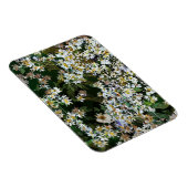MAGNET FLEXIBLE FLEURS D'ASTER (Côté Droit)