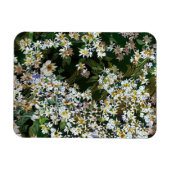 MAGNET FLEXIBLE FLEURS D'ASTER (Horizontal)