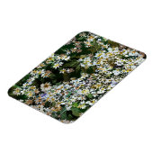MAGNET FLEXIBLE FLEURS D'ASTER (Côté Gauche)