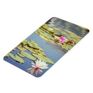 Magnet Flexible Fleurs de bassin de nénuphars