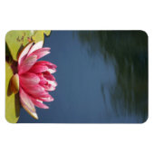 Magnet Flexible Fleurs de bassin de nénuphars (Horizontal)